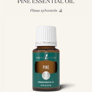 Young Living Pine Essential Oil 15mL